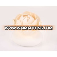 100ml Classical Ceramic flower Reed diffuser for home living room aroma fragrance